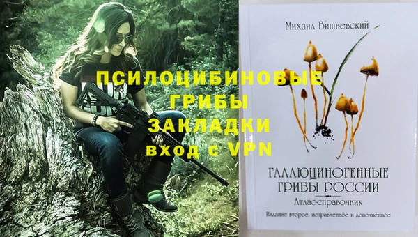 ешки Верхний Тагил
