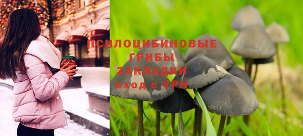 ешки Верхний Тагил